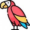Parrot