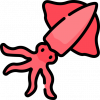 Squid