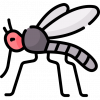 Mosquito
